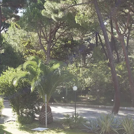 Pineta 3* Principina a Mare